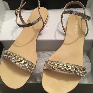 Ann Taylor Tamsin Reptile Print Jeweled Sandal